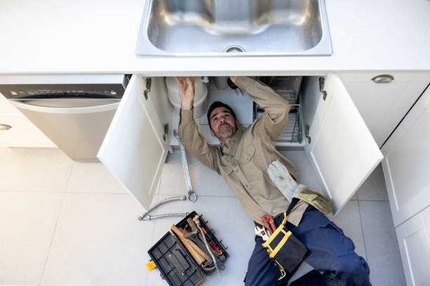 Best Affordable Plumbing Services  in Anamosa, IA