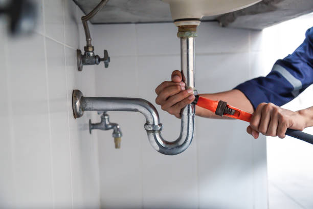 Best Clogged Drain Plumber  in Anamosa, IA